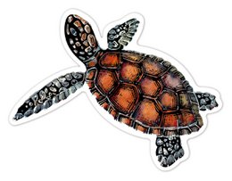 Scratch Stickers - Zeedieren