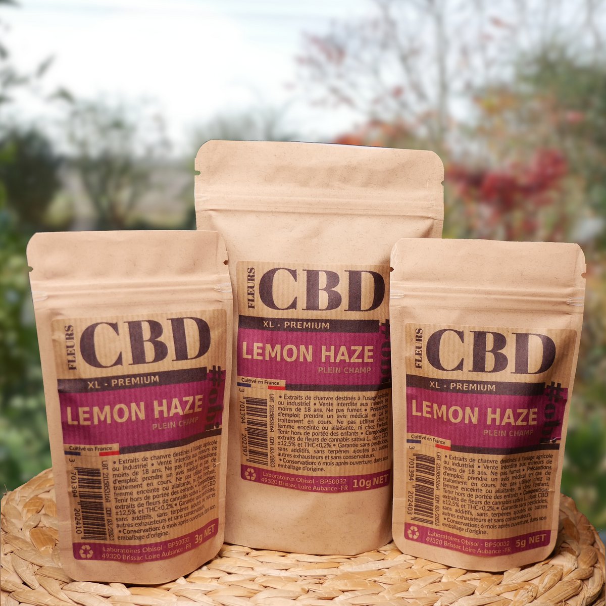 Fiori di Lemon Haze XL CBD