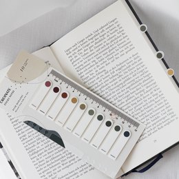 Mystic Autumn | Ordinate Farbverlauf Morandi Sticky Notes | Index Sticky Notes mit Lineal | Seitenmarkierer | Sticky Tabs | Büro Studium Schulplaner | Markierung Sticker