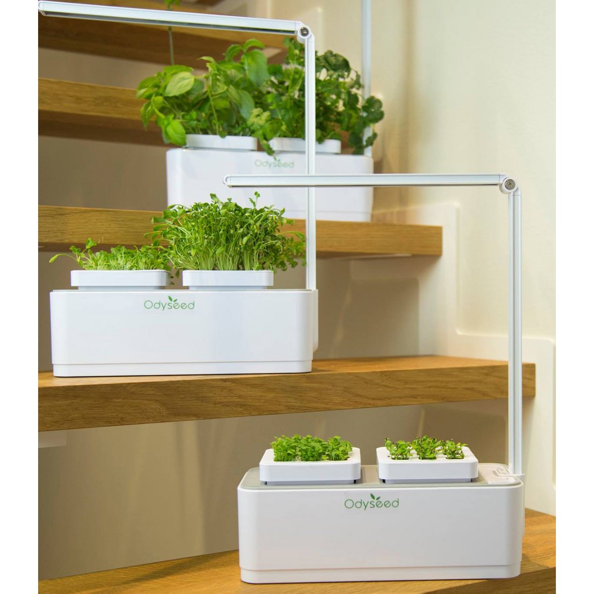 potager d'intérieur