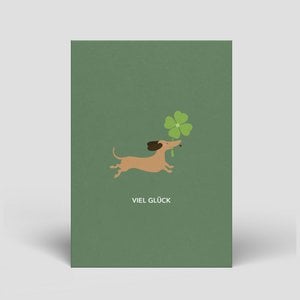 Postkaart - Dachshund wenst geluk - nr. 307