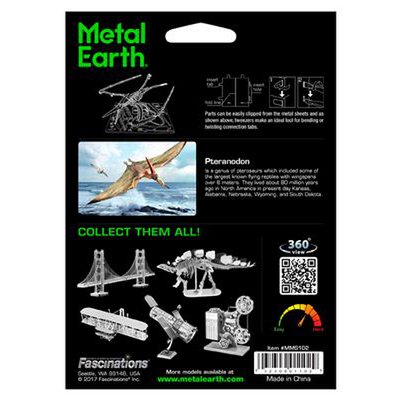 Pteranodon Skelet