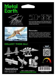 Pteranodon Skelet