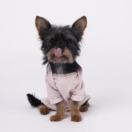 Camiseta Rosie