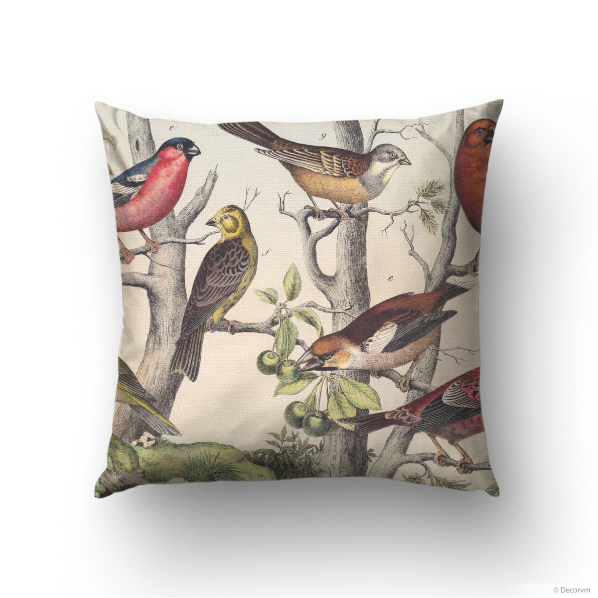 Vintage Finches Rzut Poszewka na poduszkę Klasyczny wystrój ptaka | VIN009