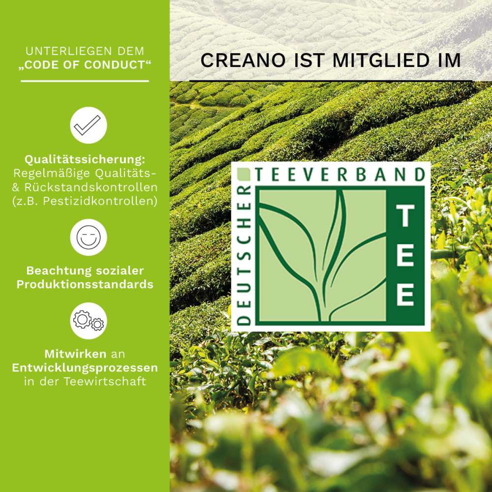 Creano 6 Teelini grüner Tee Magnetbox