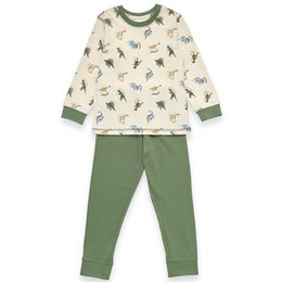 Boys pajamas 2 pieces.