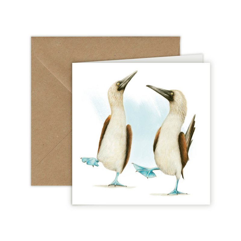 Blue-footed Booby - Lykønskningskort, 13 x 13 cm, Fugle