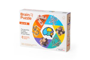 Hersenpuzzels - set van 6