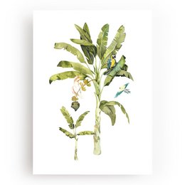 Botanical illustration of a banana tree with lush green leaves and flowers. Suitable for home decor, nature-inspired art prints.