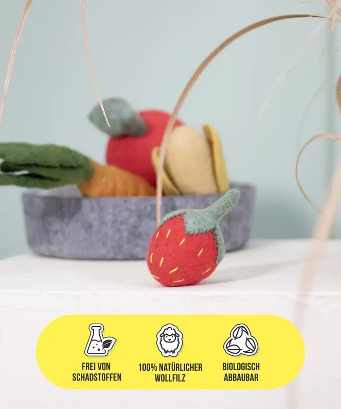 Buddy. Dog toys from Wollfilz "Strawberry"