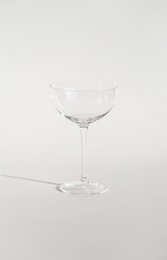 Taza de taza de viola 6 pcs.