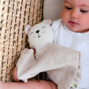 Teddybär aus Bio-Baumwolle