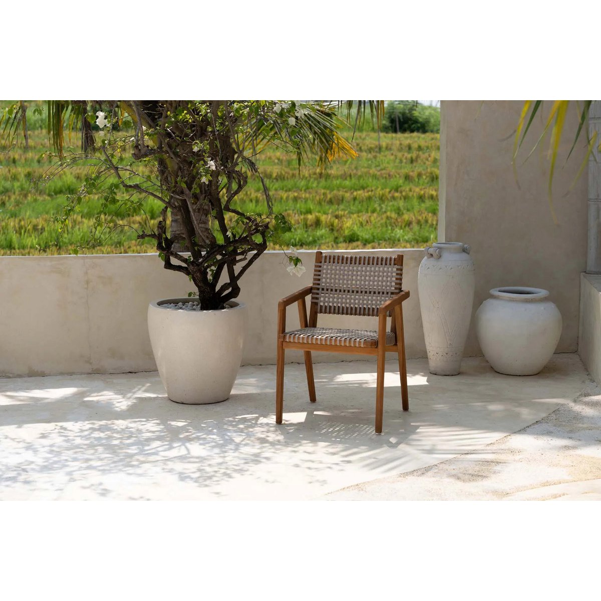 The Trikeri Dining Chair