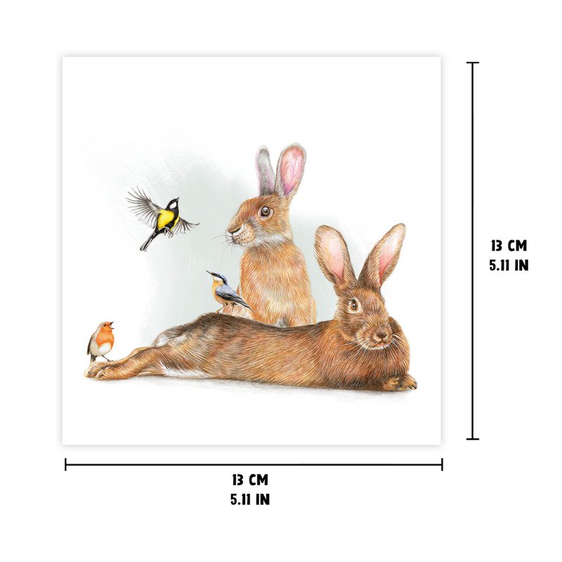 Bunny - Greeting Card, 13 x 13 cm, Birds, Rabbits, Cards