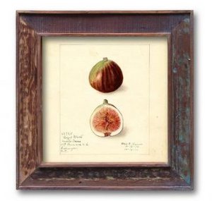 Picture frame profile 4040