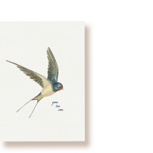 Swallow mourning card | postcard