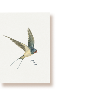 Swallow mourning card | postcard