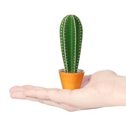Cereus peruvianus postkort