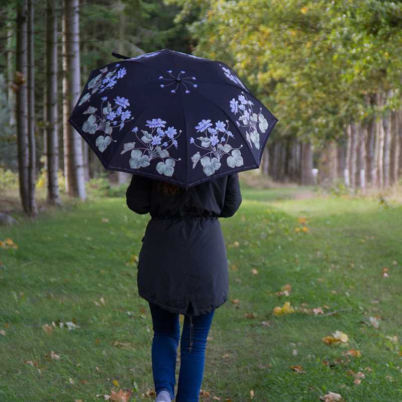 UMBRELLA - BLUE ANEMONE
