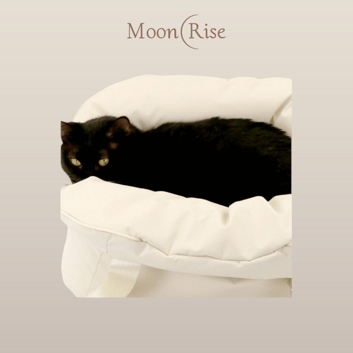 Sac confortable pour animaux de compagnie Cloud