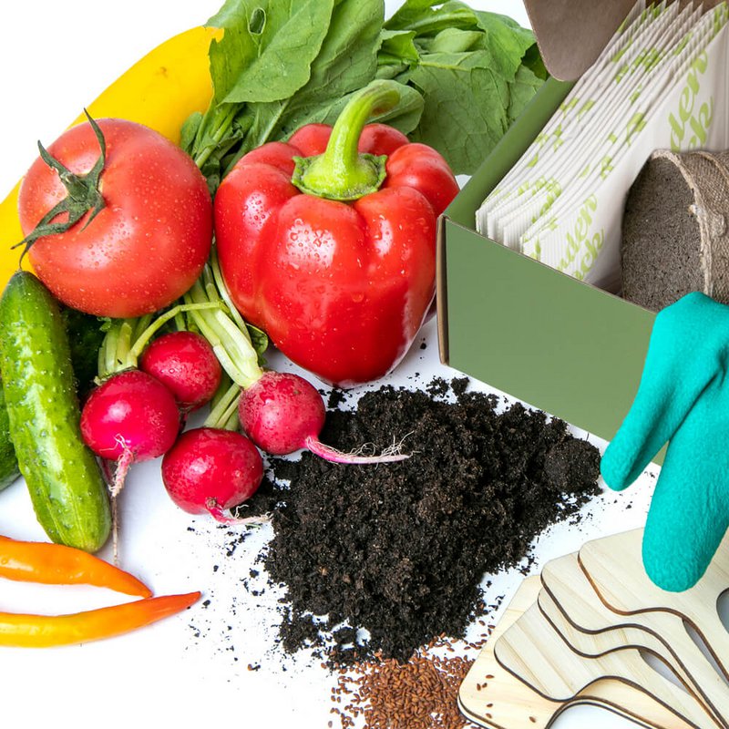 Dyrk dit eget Grand Seed Kit