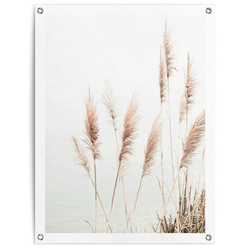 Tuinposter Tuinposter Pampas 80x60