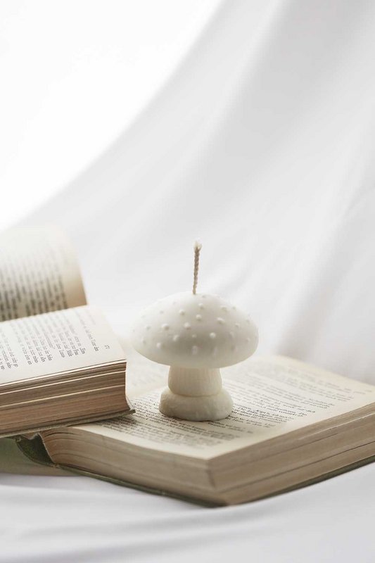 Ordinate-Woodland Mushroom Candle-02 Mushroom candle made of soy wax and beeswax | Handmade decorative candle | Cottagecore home decor | Gift for book lovers | Christmas candle