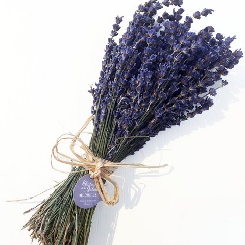 Bunch of lavender
