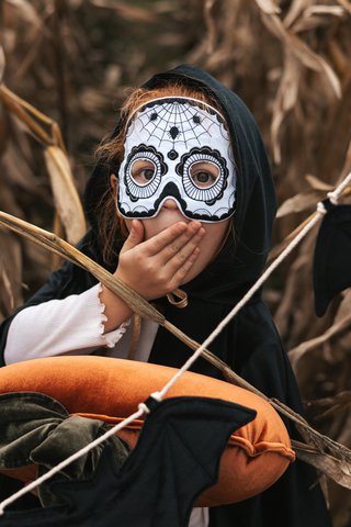 Schedelmasker "Zwart Halloween"