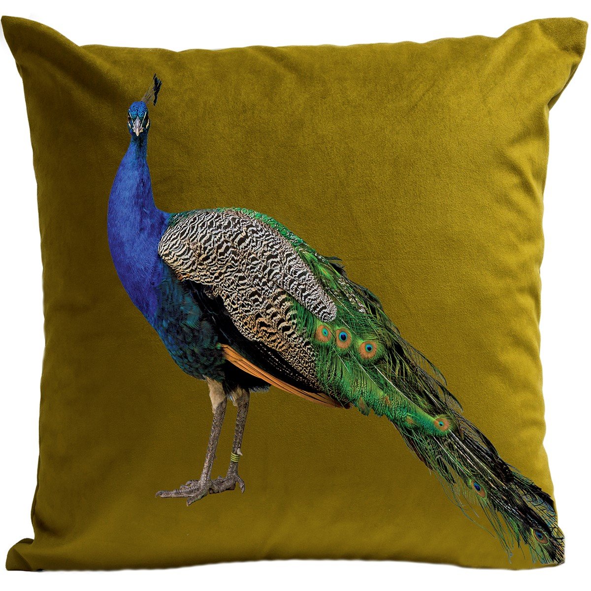 Kissen im Landhausstil, Royal Peacock