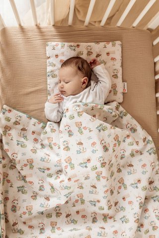 EMILY SAGE baby stroller bedding, 100% cotton