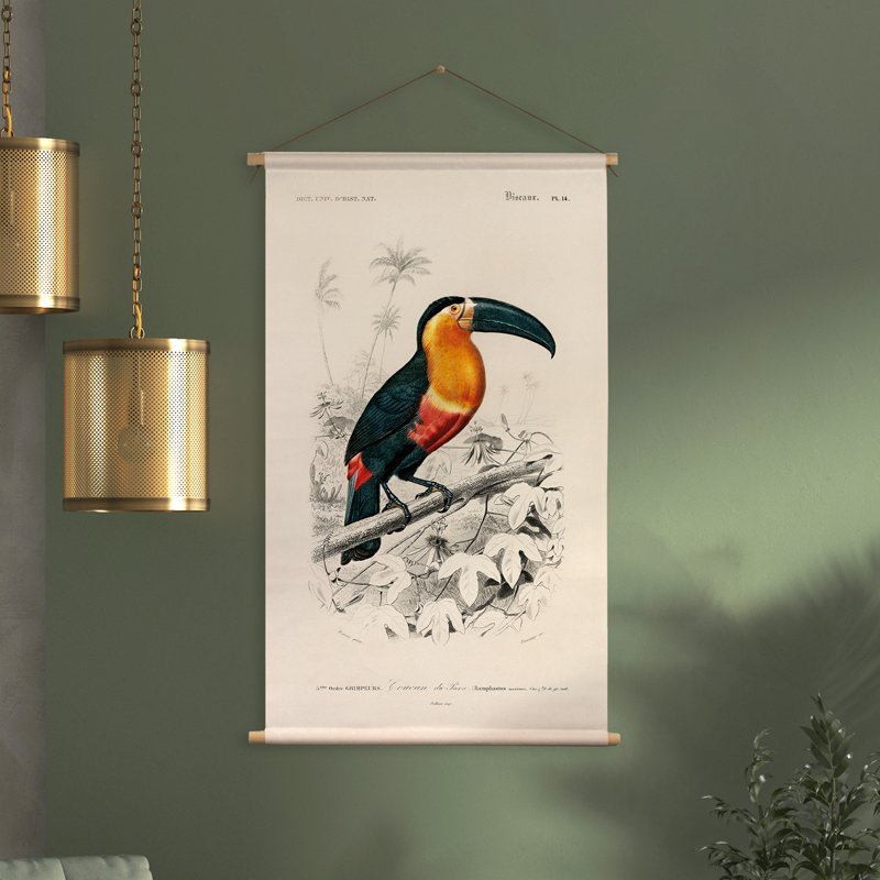 Póster textil con cordón de cuero - Ilustración Tucán D'Orbigny 65x45 cm - Tela de pared