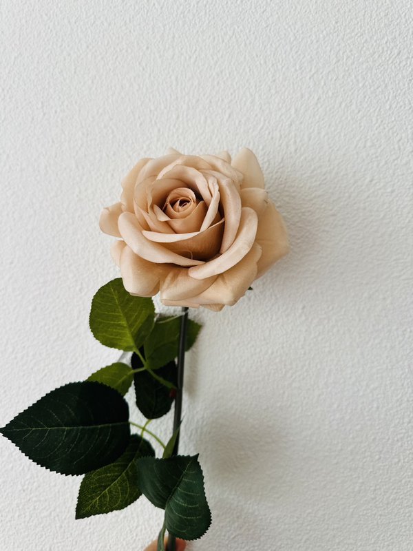 QMF Hand Touch Rose72cm Champagne 2PZ