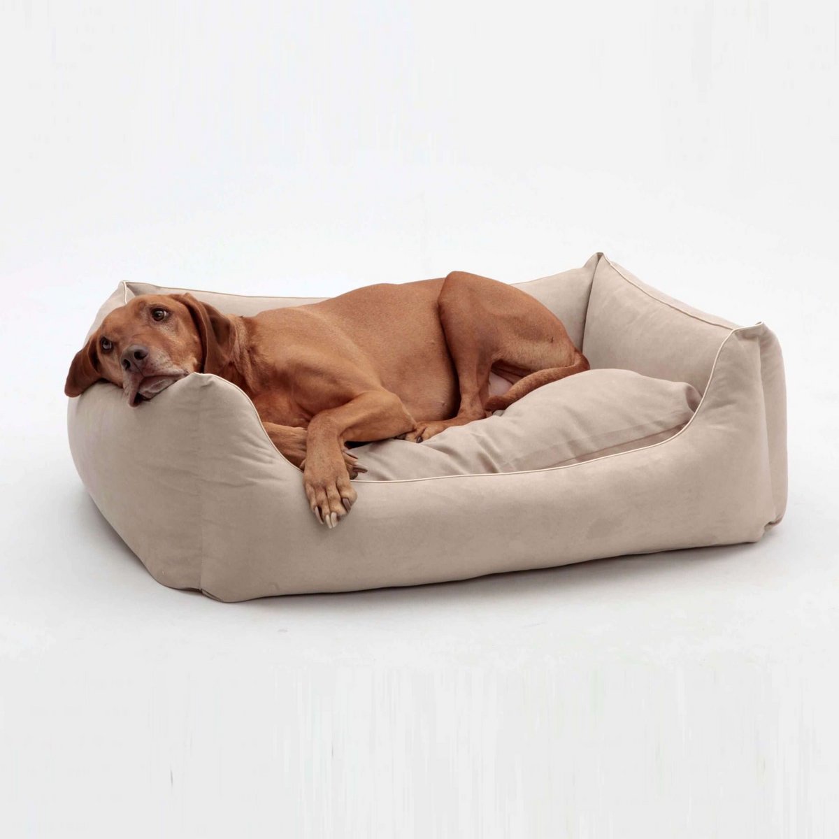 Hundebett Box Bett Alcanterra sand beige
