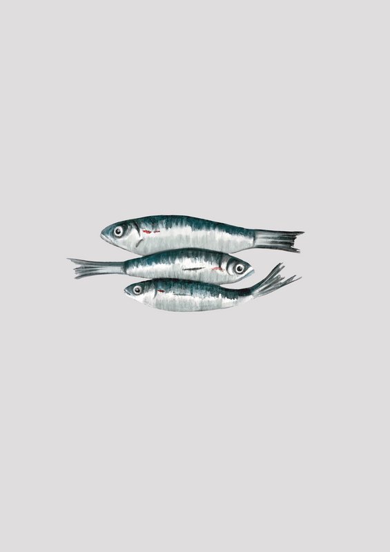 Póster 3 sardinas