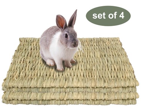 Gras Haustiermatten | Gewebte Spielbettwäsche und Kauspielzeug für Häschen, Kaninchen, Hamster und Kleintiere (Set 4)