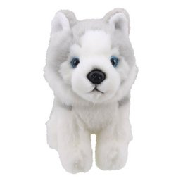 Minis - Husky