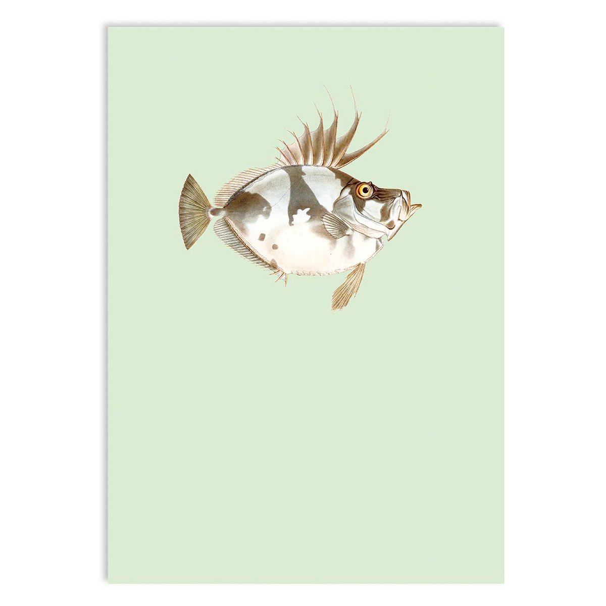 Miniprint A5 Cristina