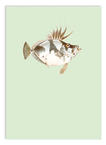 Mini print A5 Christina