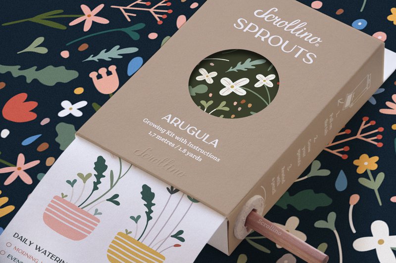 Originele activiteit en groeiende kit - Scrollino rucola spruiten
