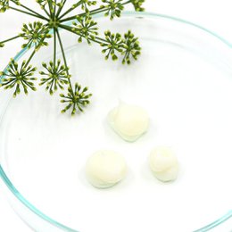 FACE CLEANSING MAKEUP REMOVER JELLY
