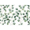 Spatscherm - Groene Natuur