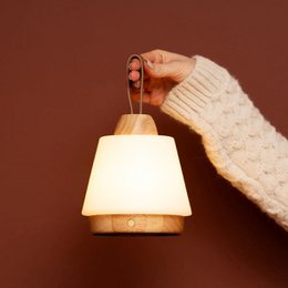 Liv Lysebrun Genopladelig Lampe