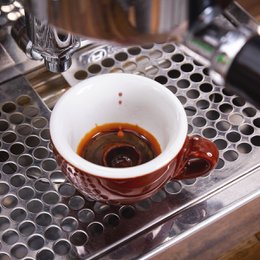 Espresso Del Bosque Vasket gæret