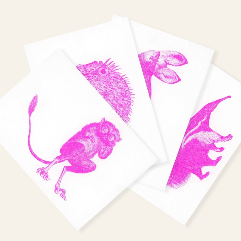 Risographie Carte postale - Hedgehogfish - DIN A6