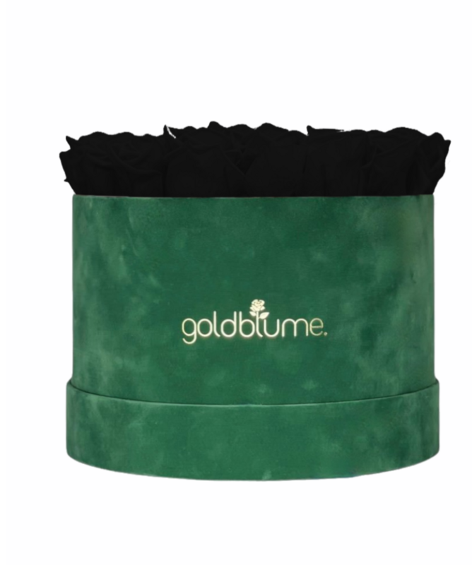 Velvet Green Collection