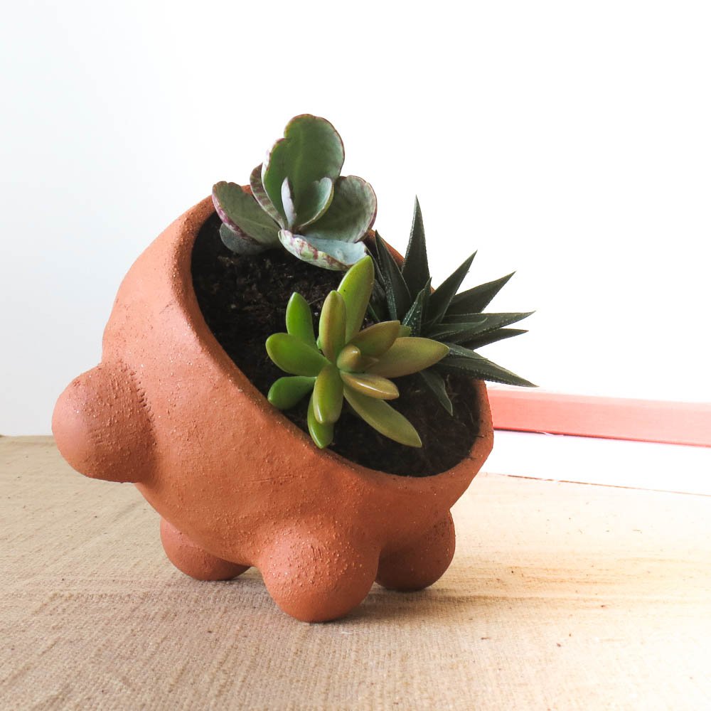 Emma Terracotta Planter