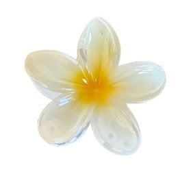 A white and yellow plumeria flower with a soft, delicate appearance. The flower has five petals and a yellow center.
