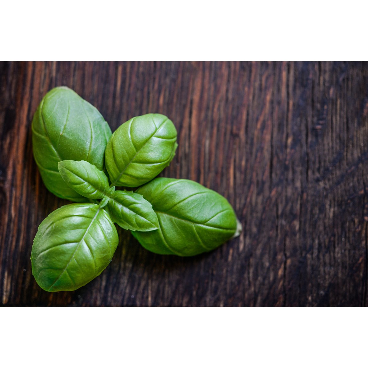 ITALIA | SICILIA | FLAVOURED Extra Virgin Olive Oil | BASIL | 250 ml